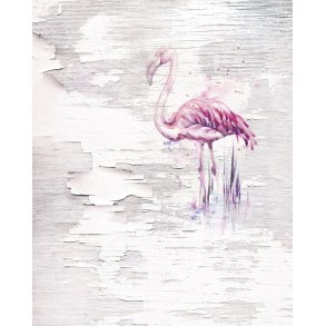 Pink flamingo 