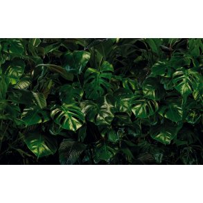 Tropical Wall P333-VD4